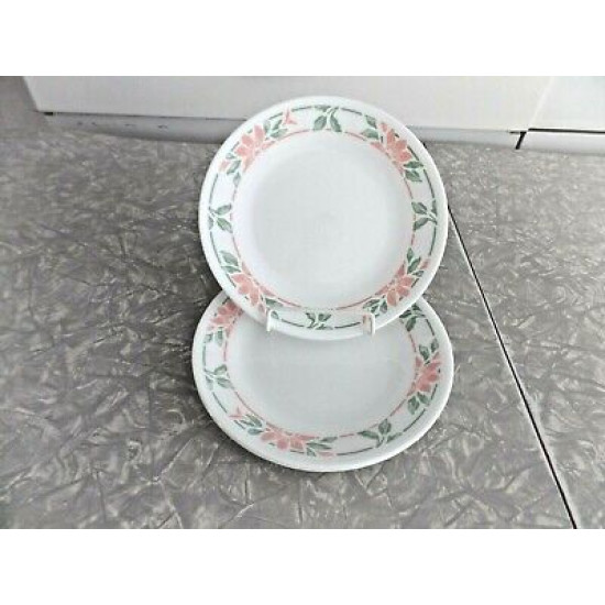 CORELLE 2 PC. BREAD/DESSERT PLATE SET in the "ISLAND BREEZE" FLORAL PATTERN