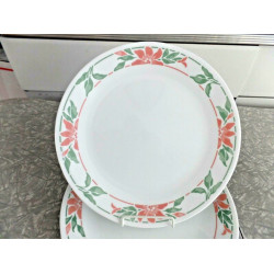 CORELLE 2 PC. 10 1/4" DINNER PLATE SET in the "ISLAND BREEZE" FLORAL PATTERN